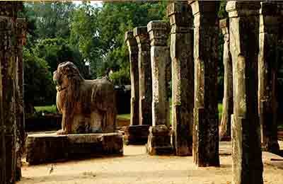 Polonnaruwa Sri Lanka Tours